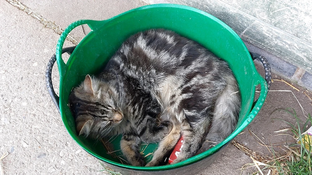 Image uploaded by Kaylen