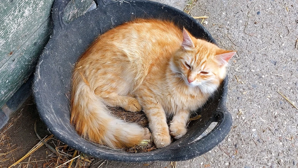 Image uploaded by Kaylen