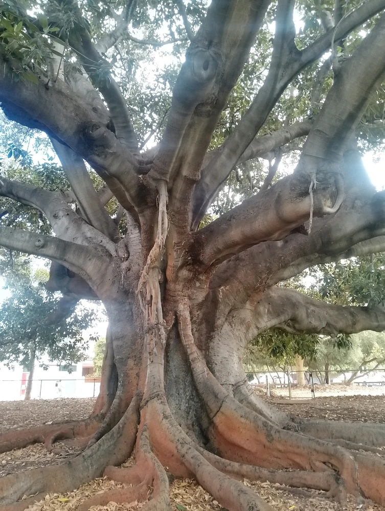 Image uploaded by Henry