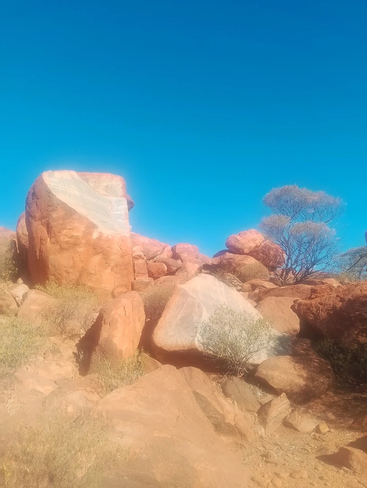 Image uploaded by Henry