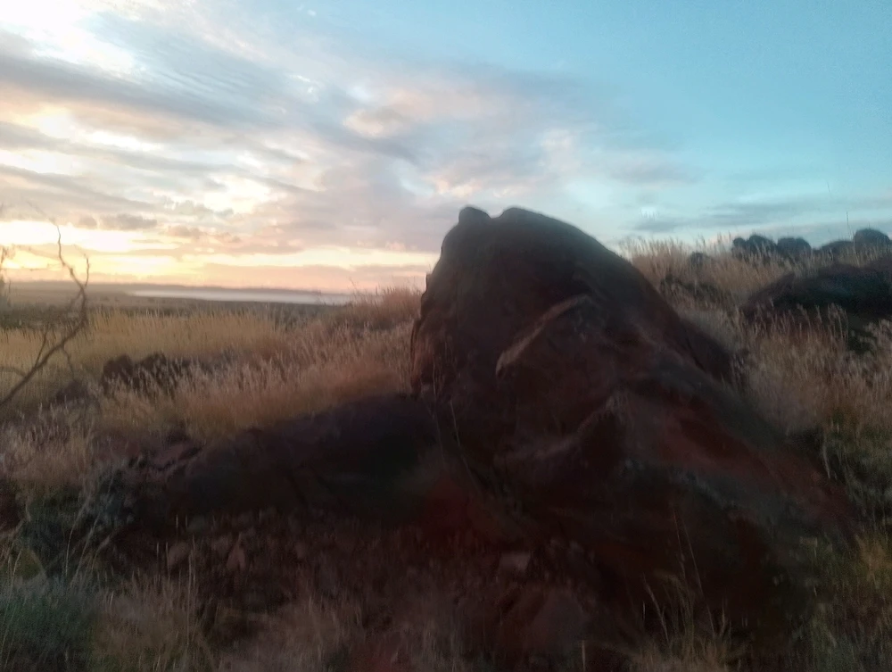 Image uploaded by Henry