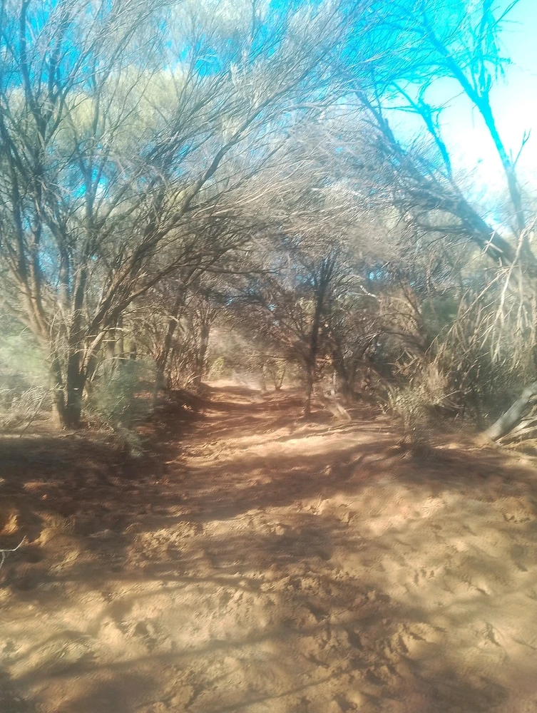 Image uploaded by Henry