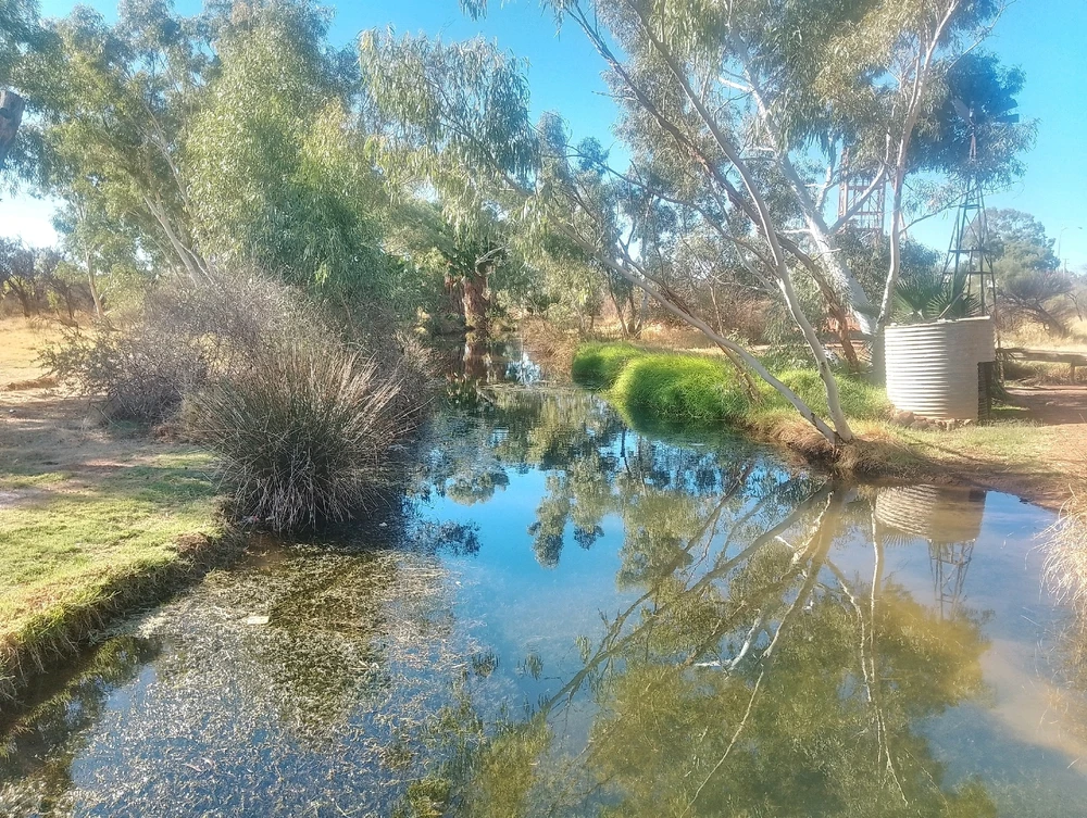 Image uploaded by Henry