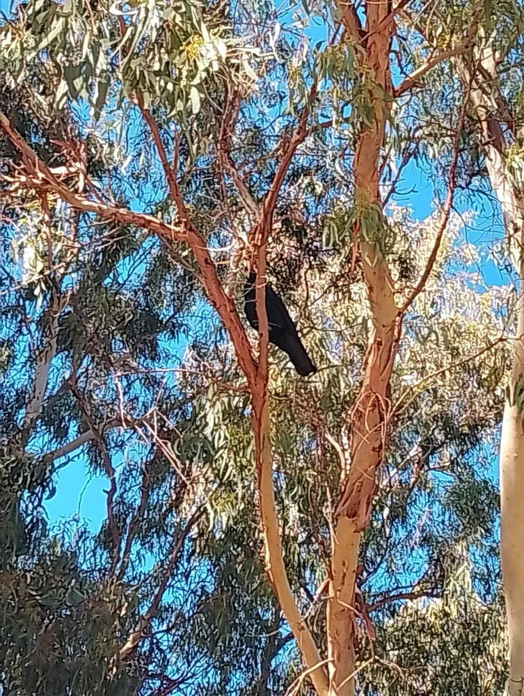 Image uploaded by Henry