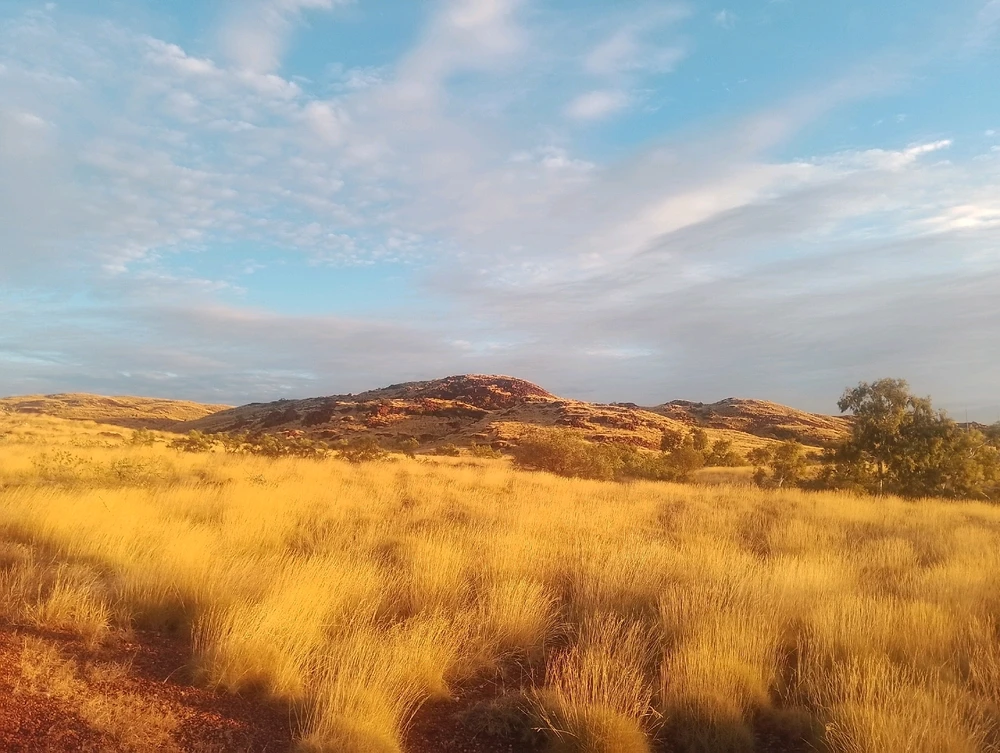 Image uploaded by Henry