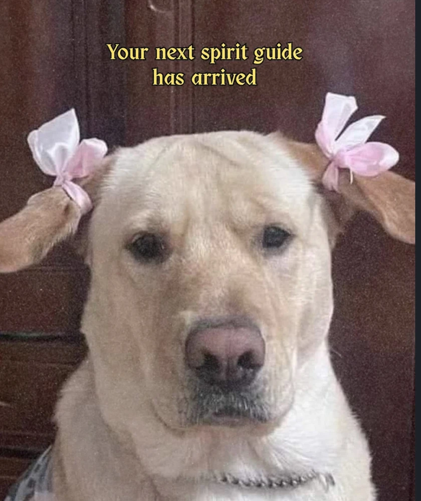 Obrázek nahrál Irónia