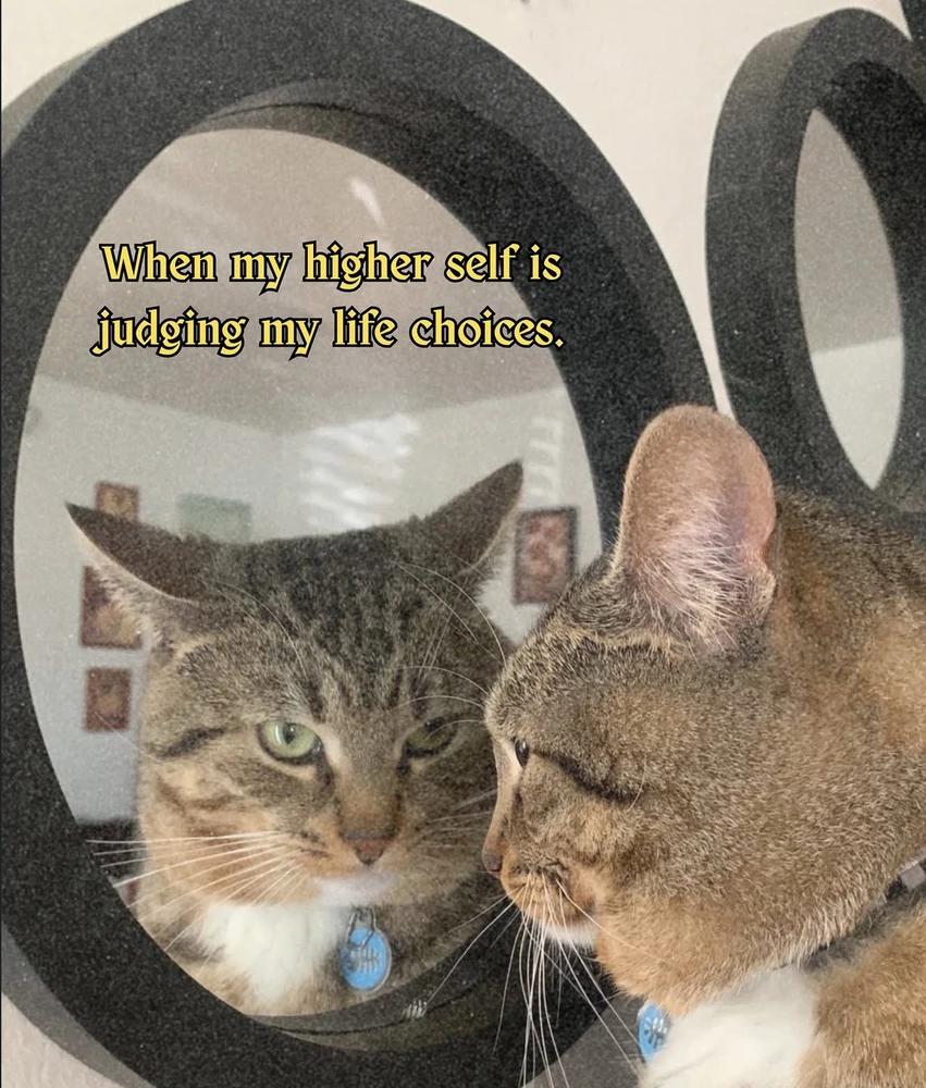 Obrázek nahrál Irónia