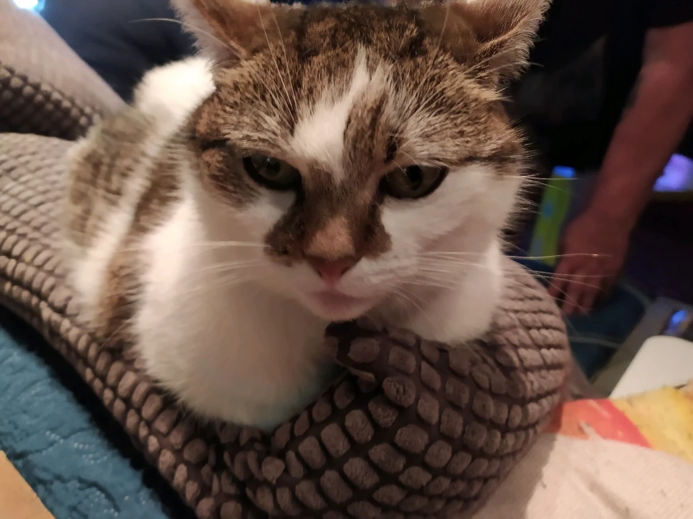 GIF geüpload door Jaap