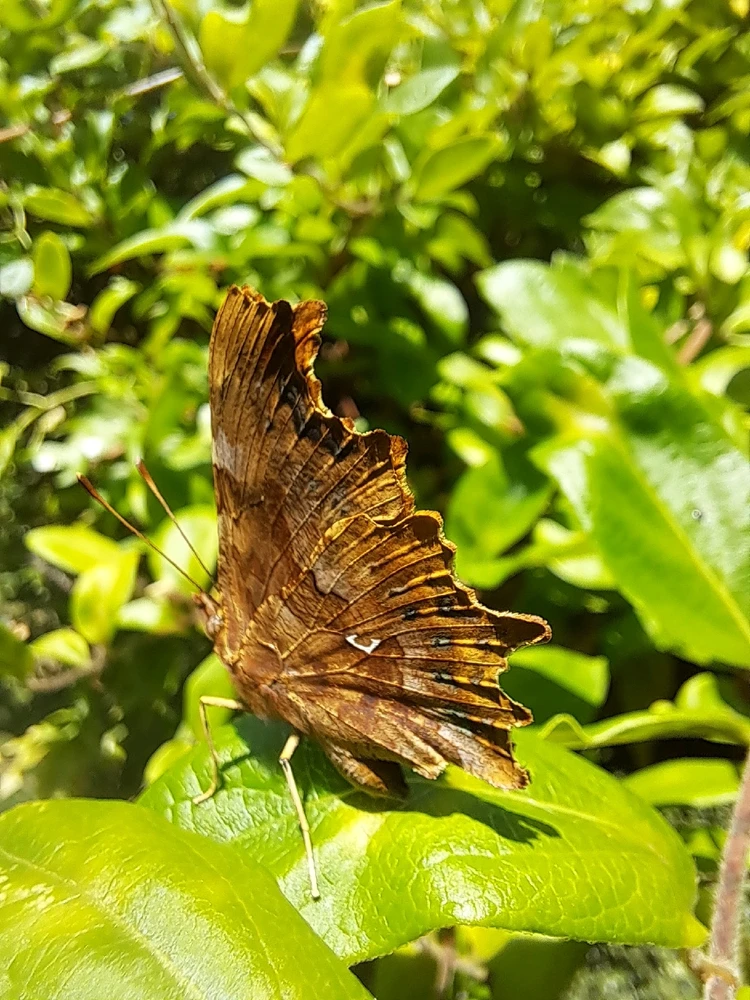 GIF diunggah dening JD