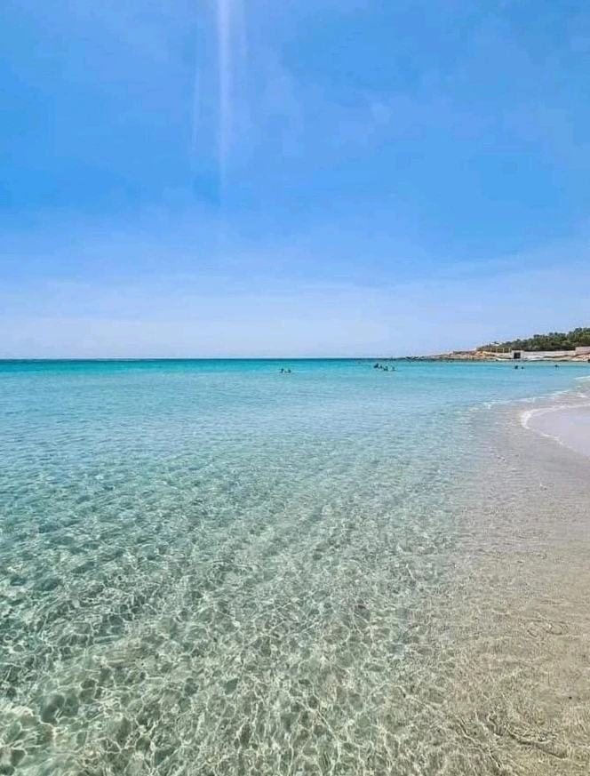 Image ajoutée par Haythem