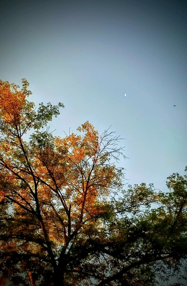 Imagen subida por Ingrid