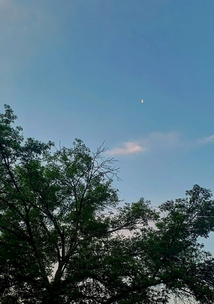 Imagen subida por Ingrid