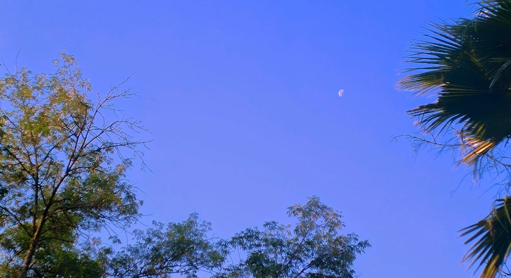 Imagen subida por Ingrid