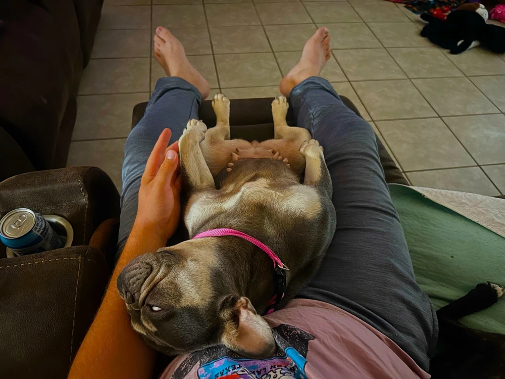 GIF uploaded by Julien