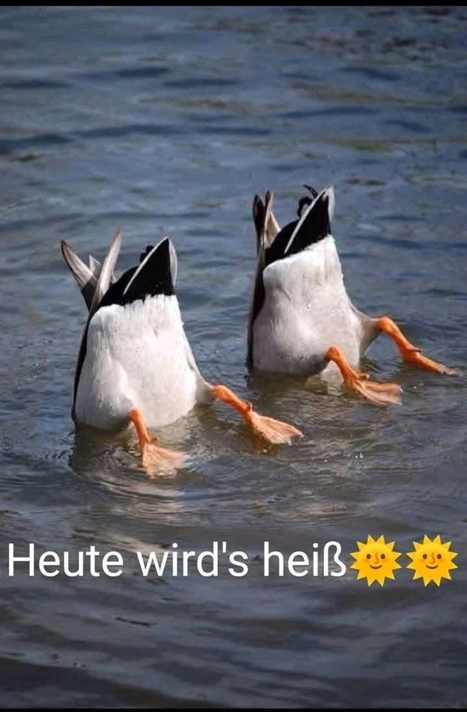 GIF hochgeladen von Sven