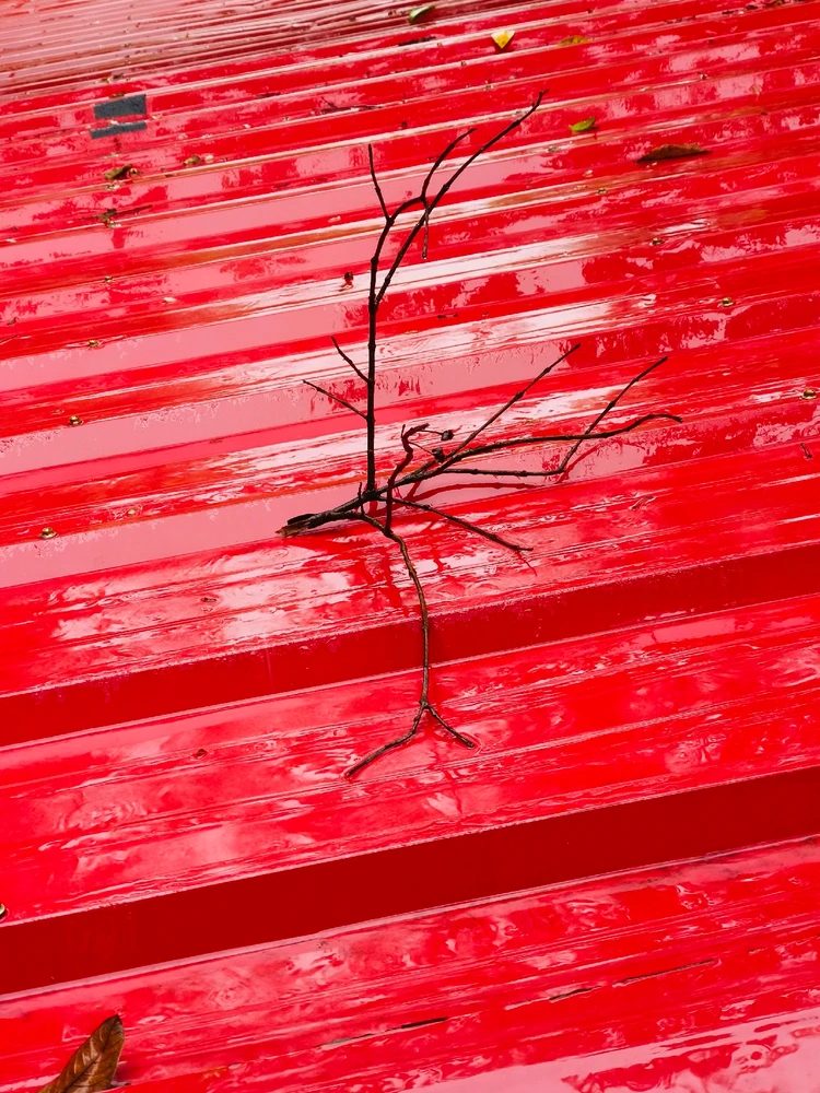 Image uploaded by Rhona