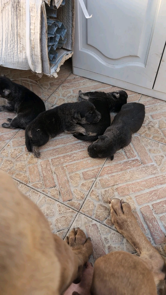 GIF caricata da Valerio