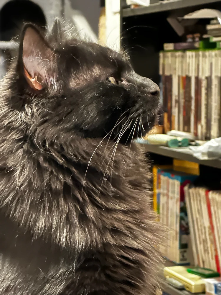 GIF uploaded by Emily