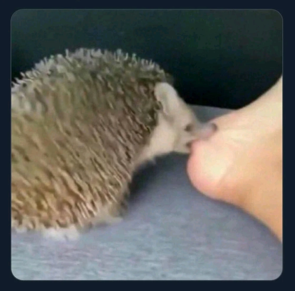 GIF hochgeladen von Doris