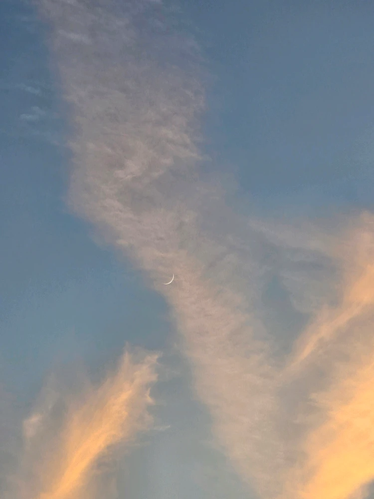 GIF diunggah oleh May