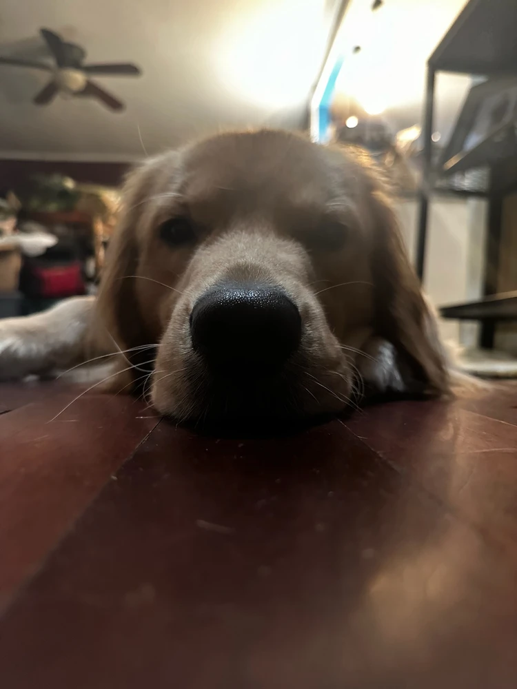 Image uploaded by Jackson