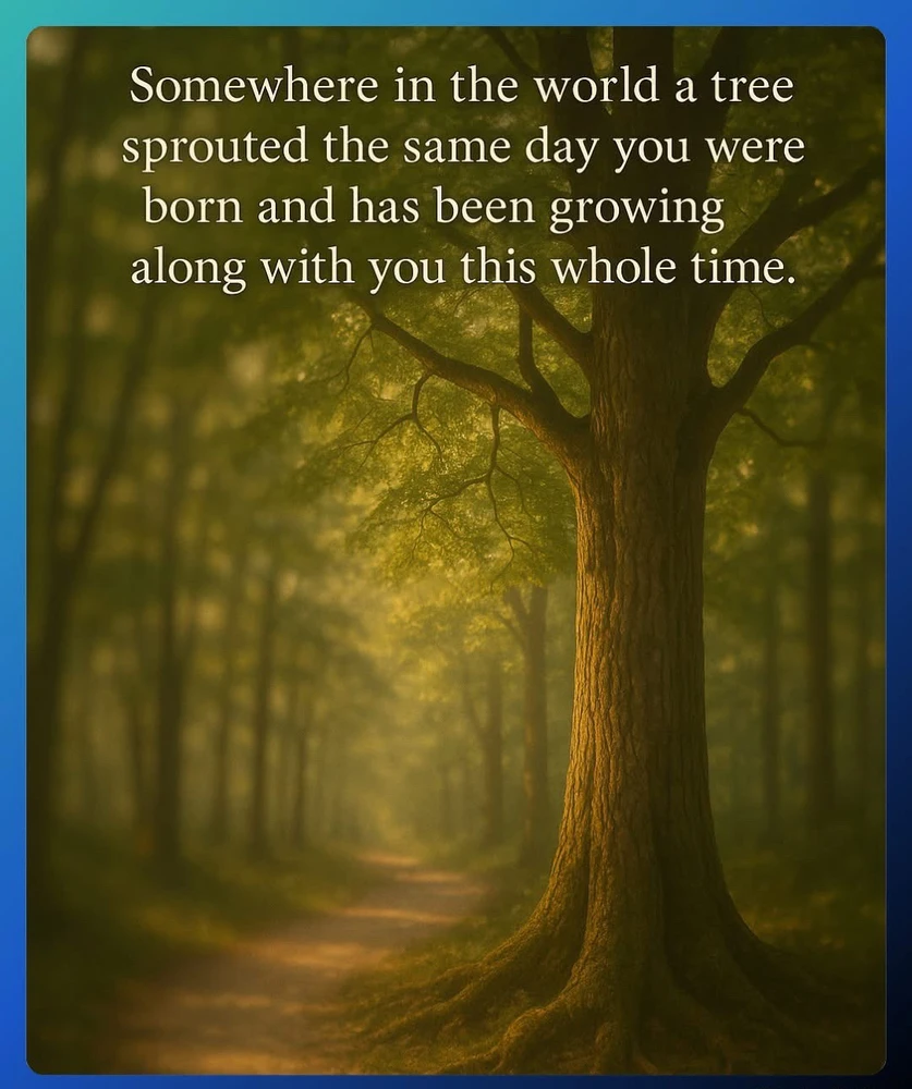 GIF uploaded by 🌙✨ℳℯ𝓁𝒶𝓃𝒾𝓆𝓊ℯ✨🌙