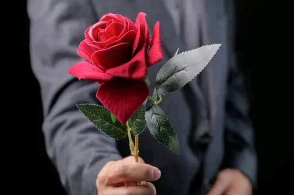 GIF uploaded by doctor_mohit