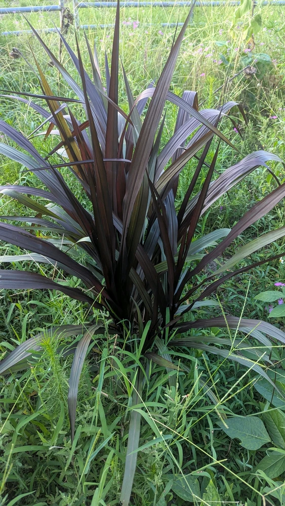 GIF uploaded by Seth