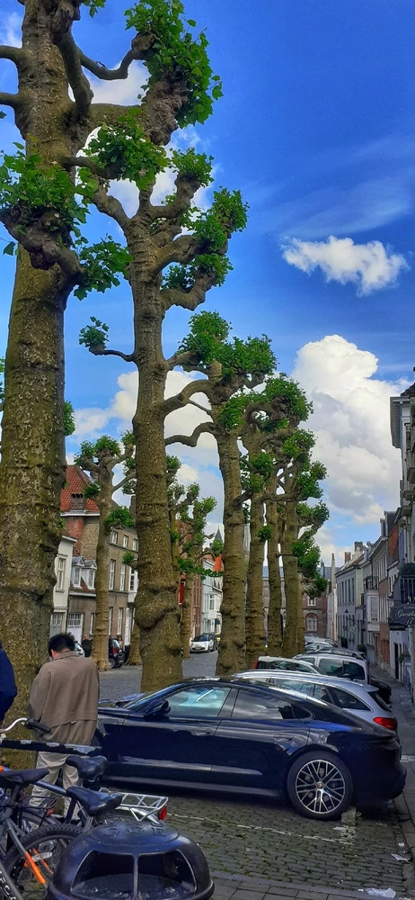 GIF uploaded by Arunabha Saha