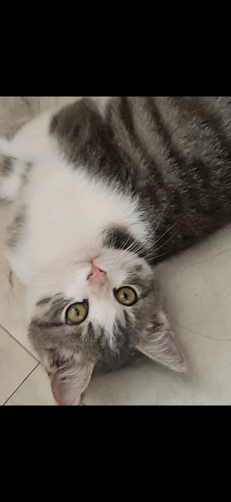 GIF subido por Alexis