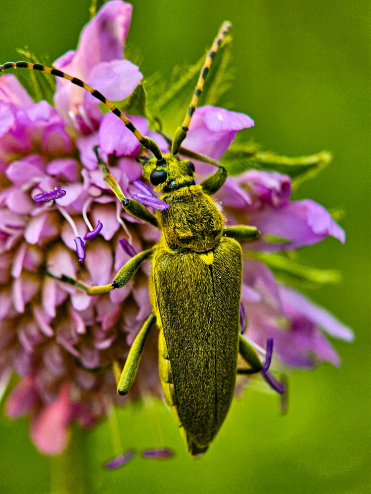 Фото загрузил Николай