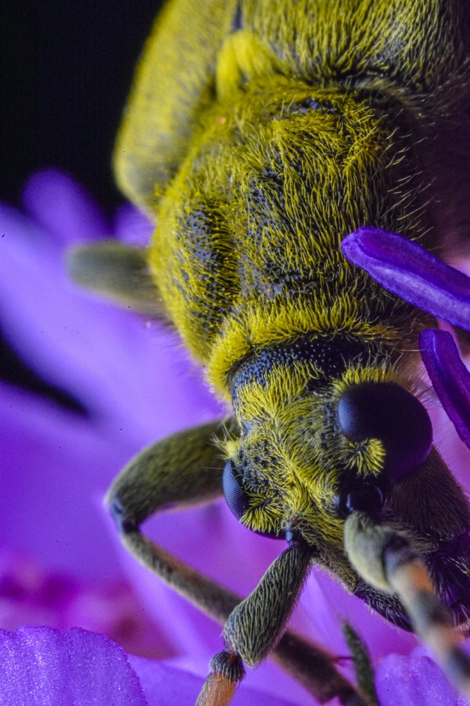 Фото загрузил Николай