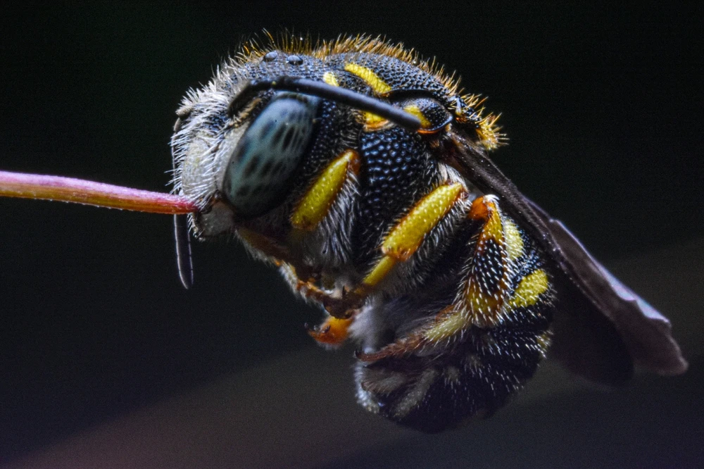 Фото загрузил Николай