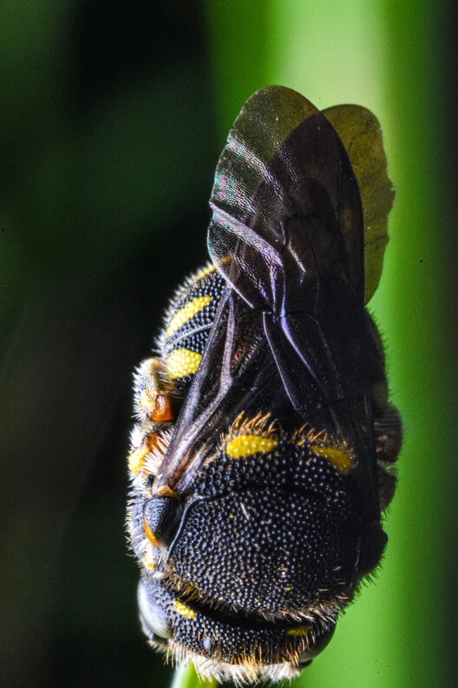 Фото загрузил Николай