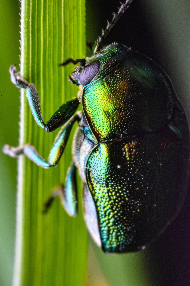 Фото загрузил Николай