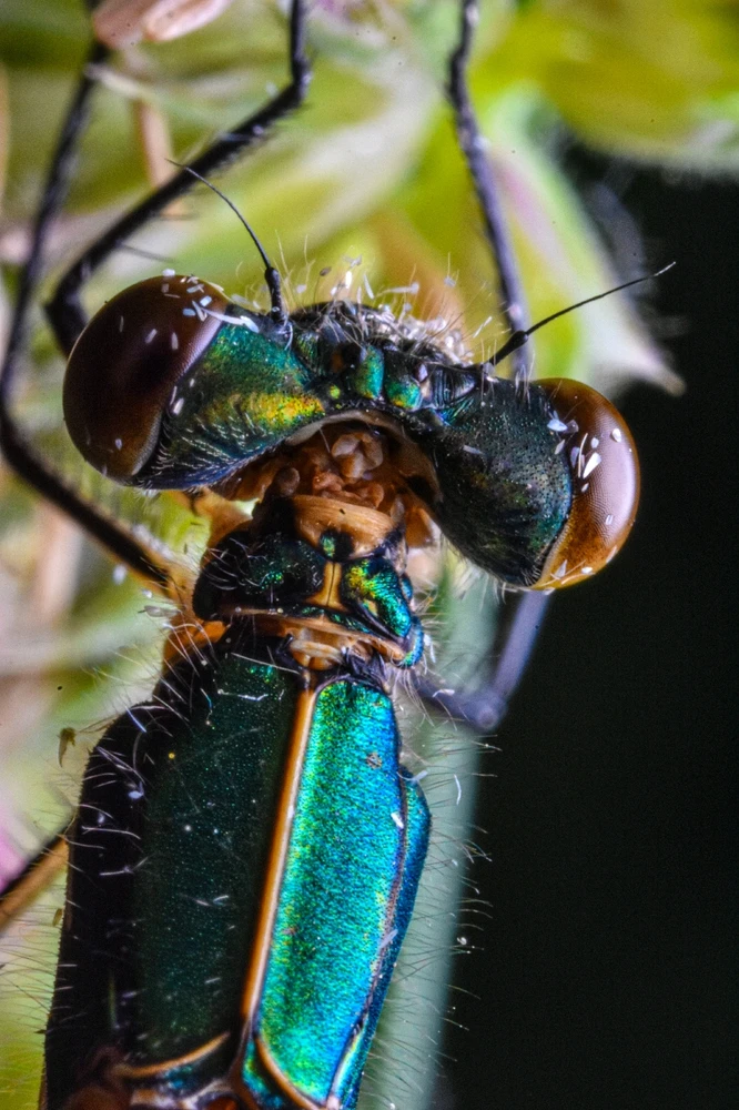 Фото загрузил Николай