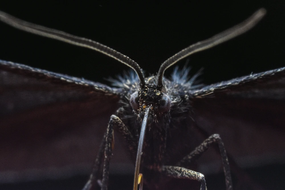 Фото загрузил Николай