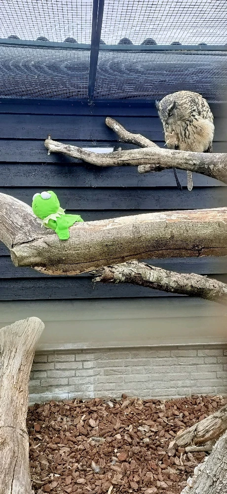 GIF geüpload door Tom