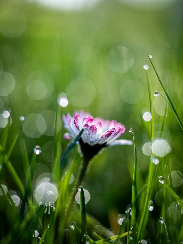 GIF dodany przez Paweł