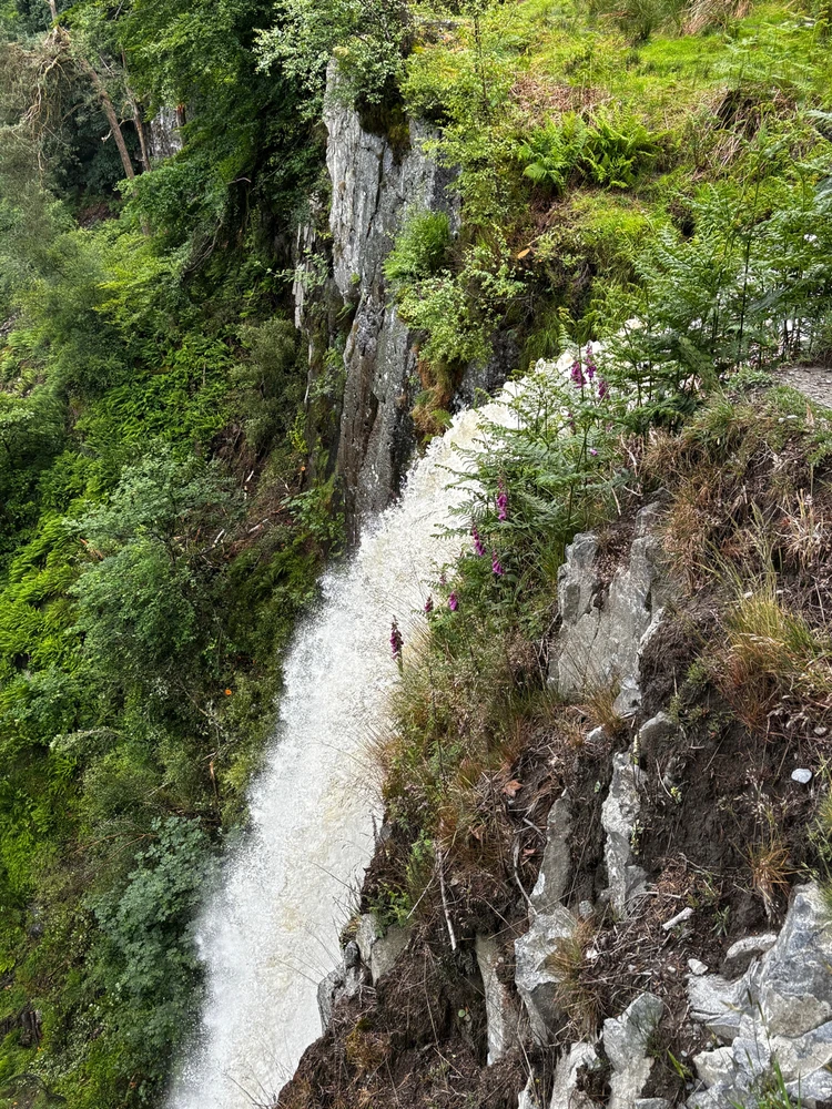 Image uploaded by Bex