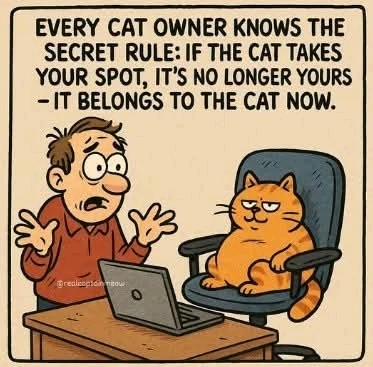 GIF uploaded by DezzieDee