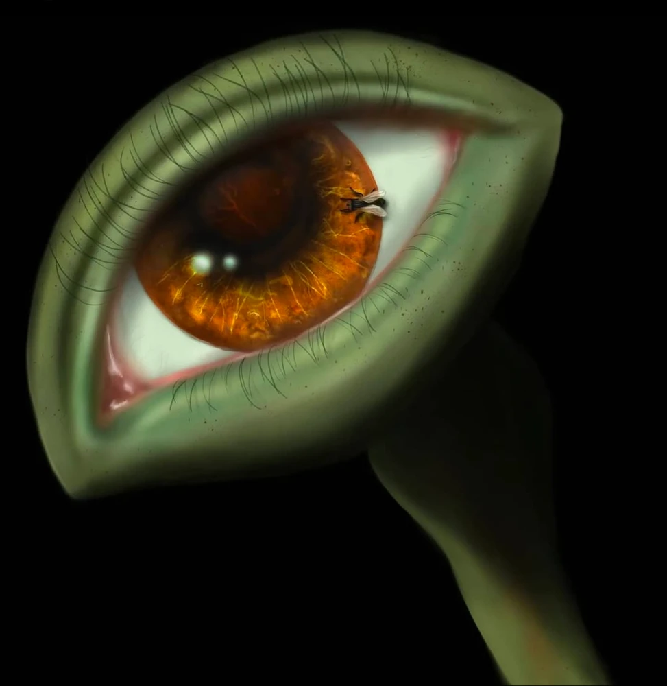 GIF uploaded by Dark Clover