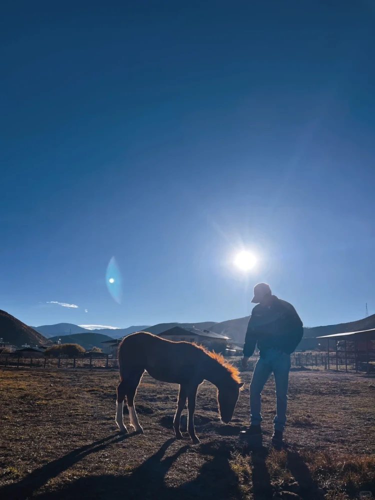 Image uploaded by Kevin  Kim