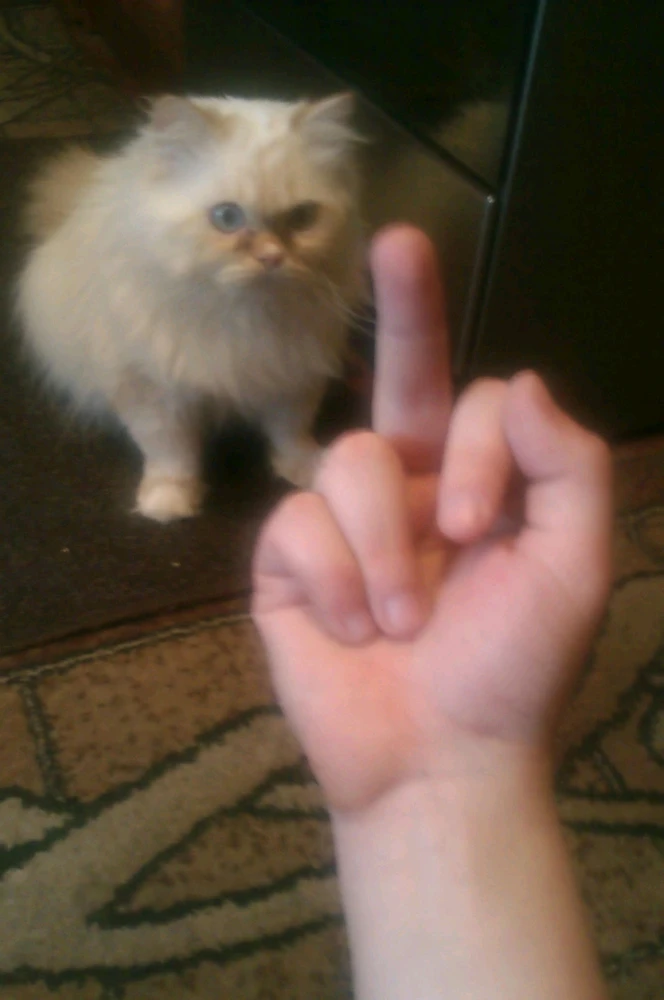 Гіфку завантажив Андрій