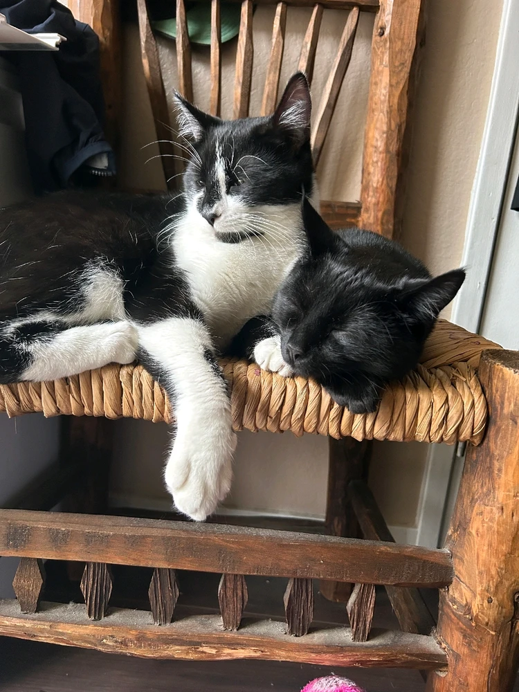 Image uploaded by Reyna