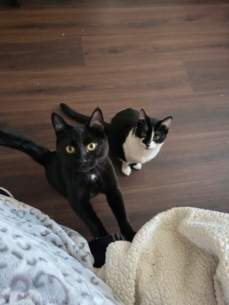 Image uploaded by Reyna