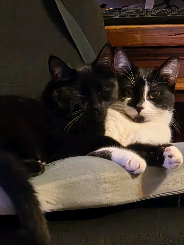 Image uploaded by Reyna