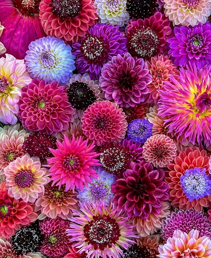 Image uploaded by 🔆🥨🔅Koffy🔅🌰🔆