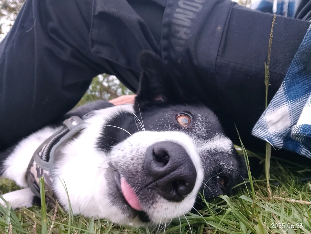 Image uploaded by Alejandro