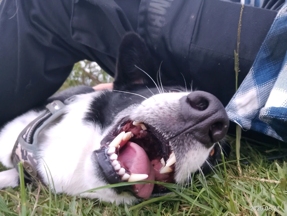 Image uploaded by Alejandro